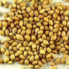 Nattu malli /நாடு மல்லி 500gm